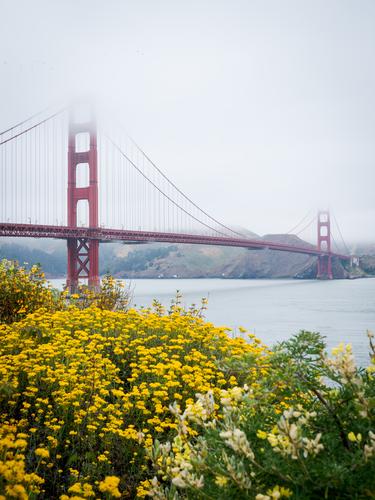 Мост Золотые Ворота в тумане Мост Золотые Ворота в тумане